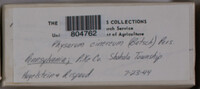 Image Associated With the Occurence